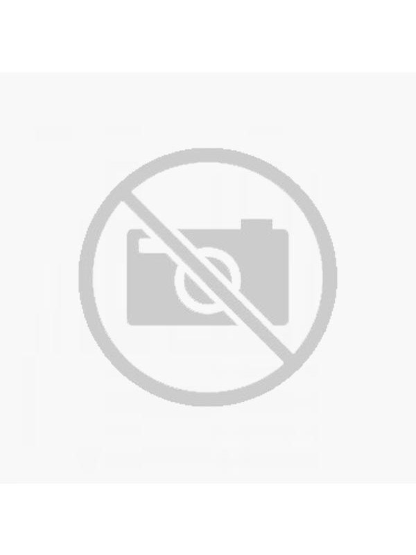 Bertha pelo universo dos Anfíbios Anuros