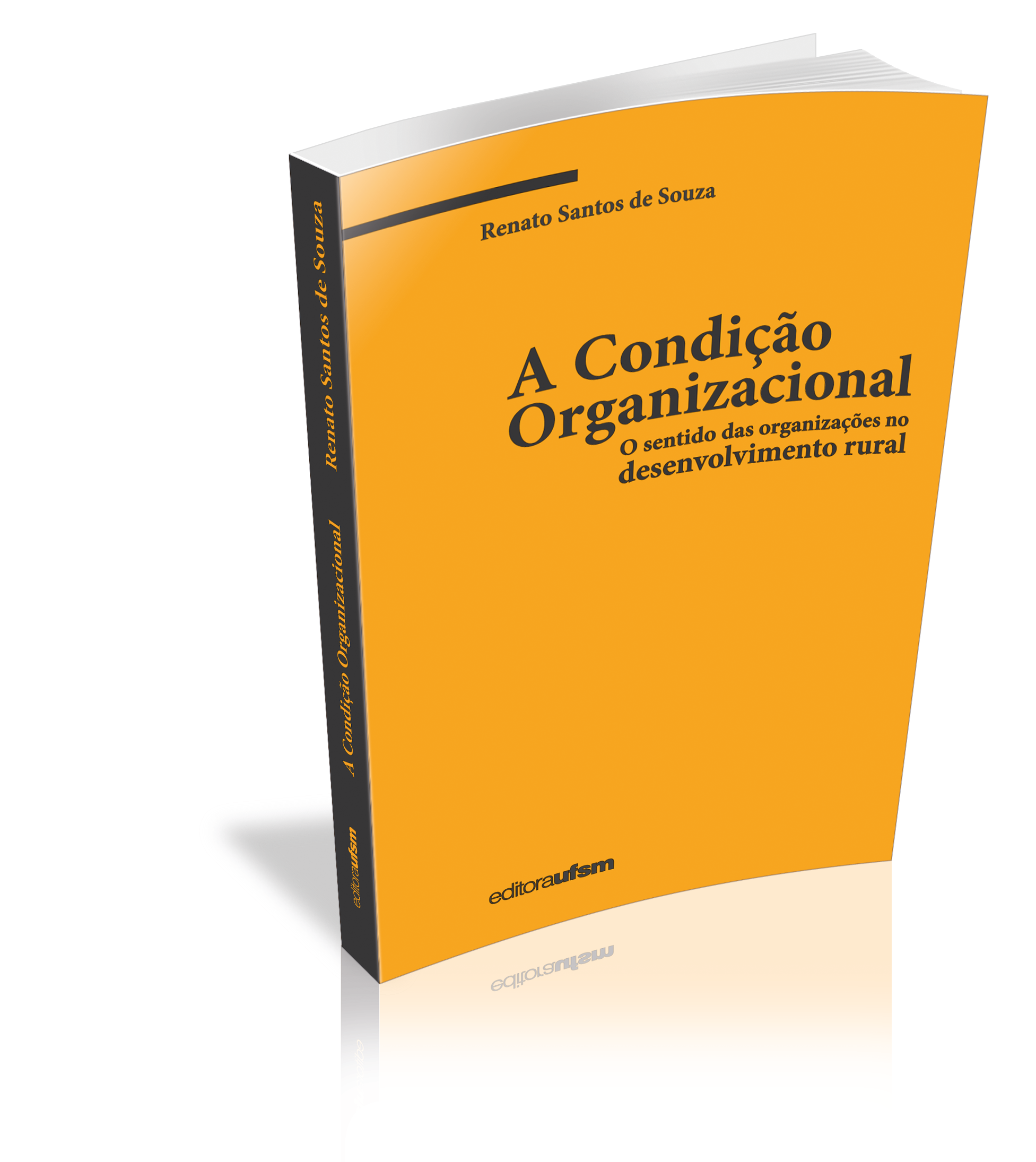 Capa do livro A Condição Organizacional