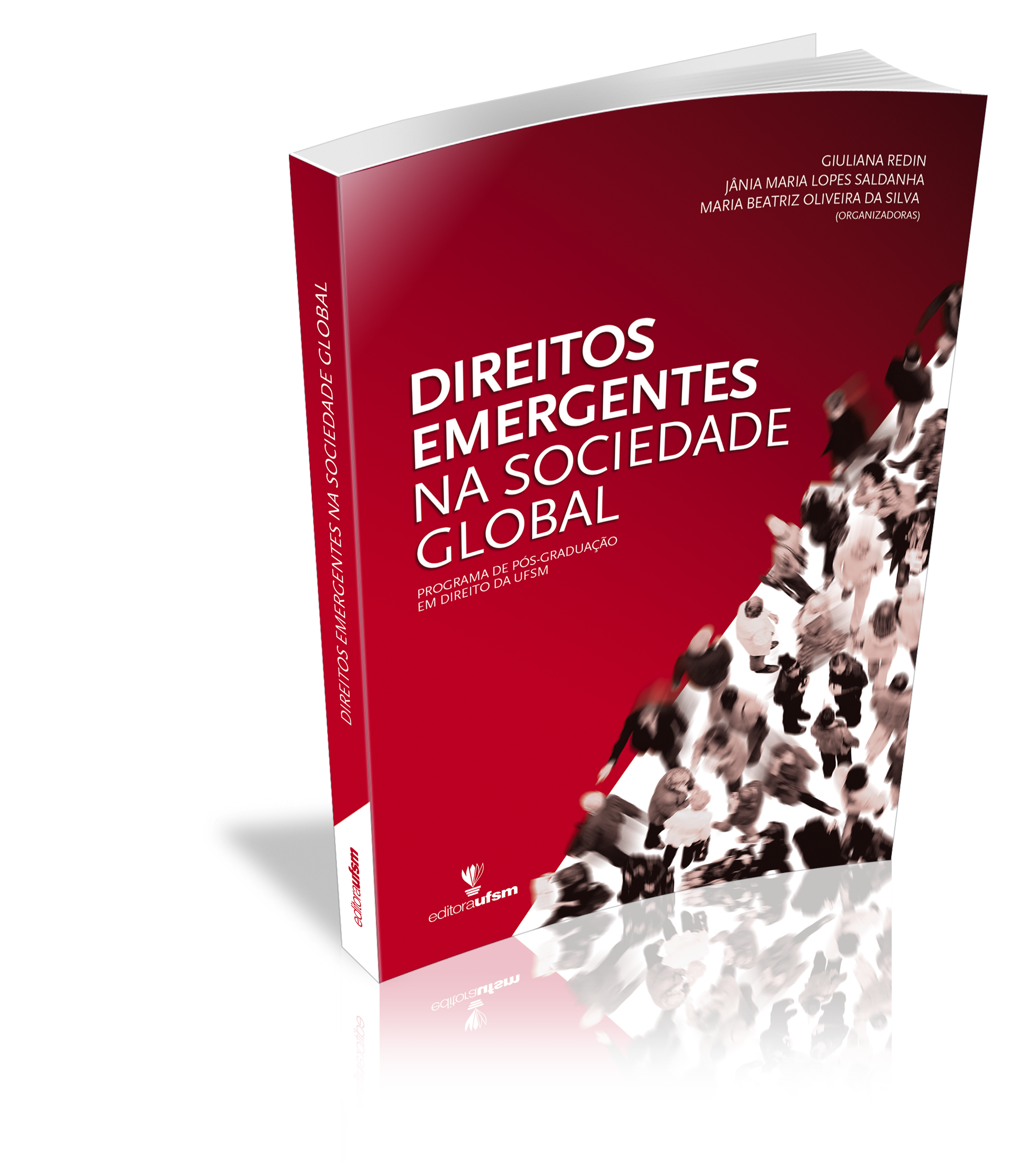 Capa do livro Direitos emergentes na sociedade global