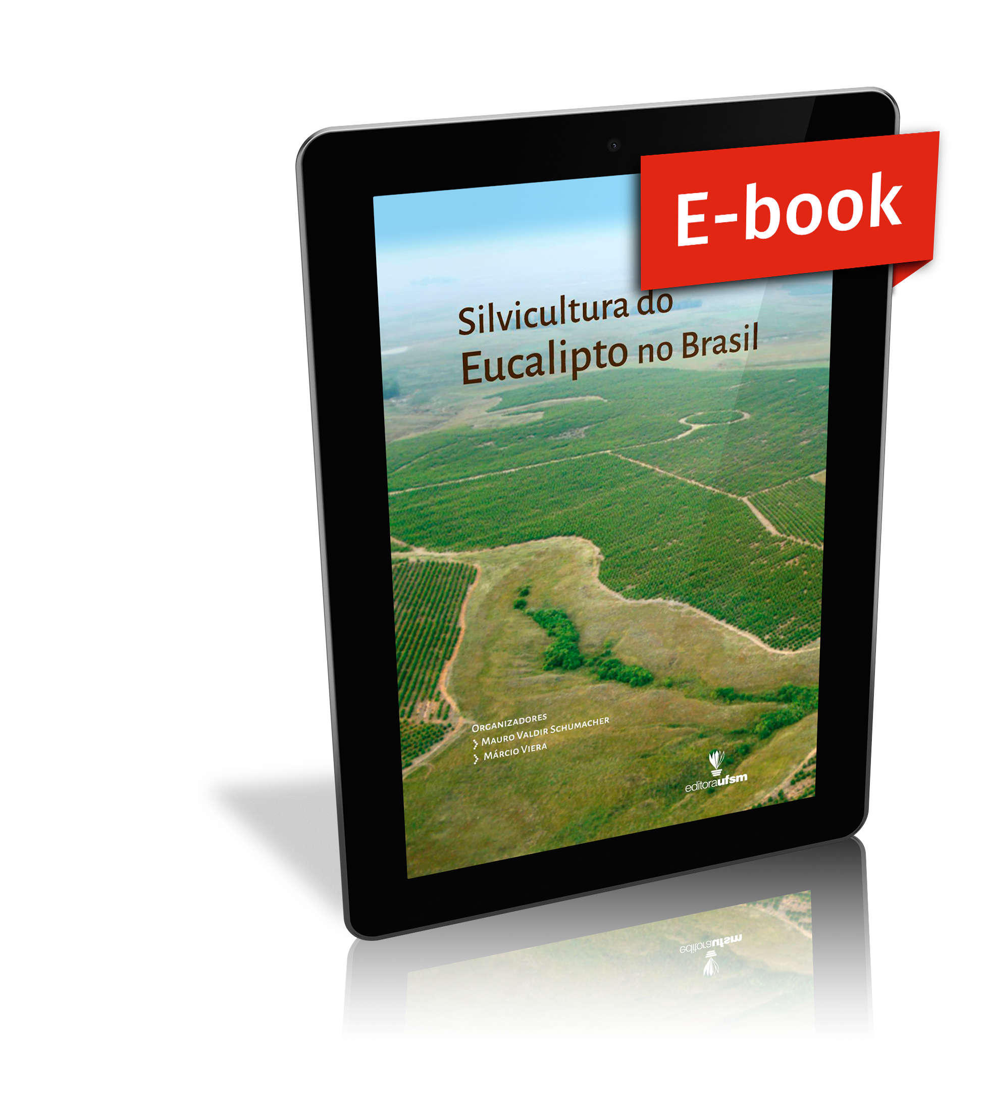 Capa do ebook Silvicultura do Eucalipto no Brasil